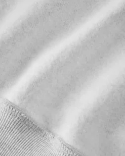 Nude Project Swans Hoodie Grey Melange Discount