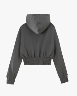 Nude Project Typa Day Cropped Hoodie Ash Hot