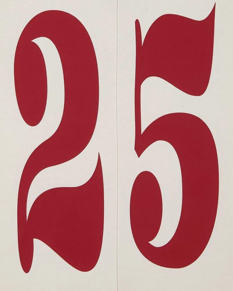 Nude Project Vintage Sports Longsleeve White Online